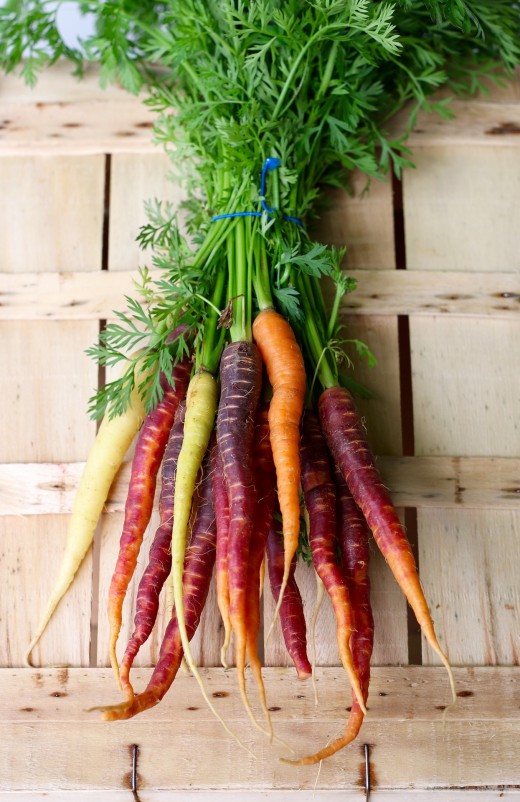 Raw carrots have unique health benefits that make them far more than just another vegetable. Raw carrots, Dr. Ray Peat, Ray Peat, Carrot Salad, Endotoxin, Endotoxins, Lipopolysaccharide, LPS, Lipopolysaccharides, Estrogen, Inflammation, Progesterone.